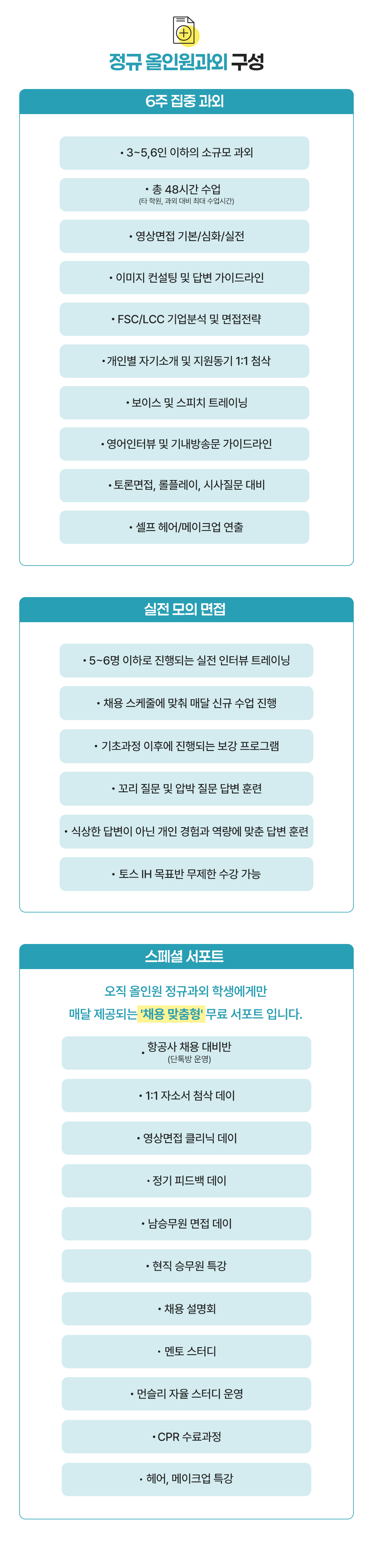 국내 항공사 정규 올인원 정규 과외