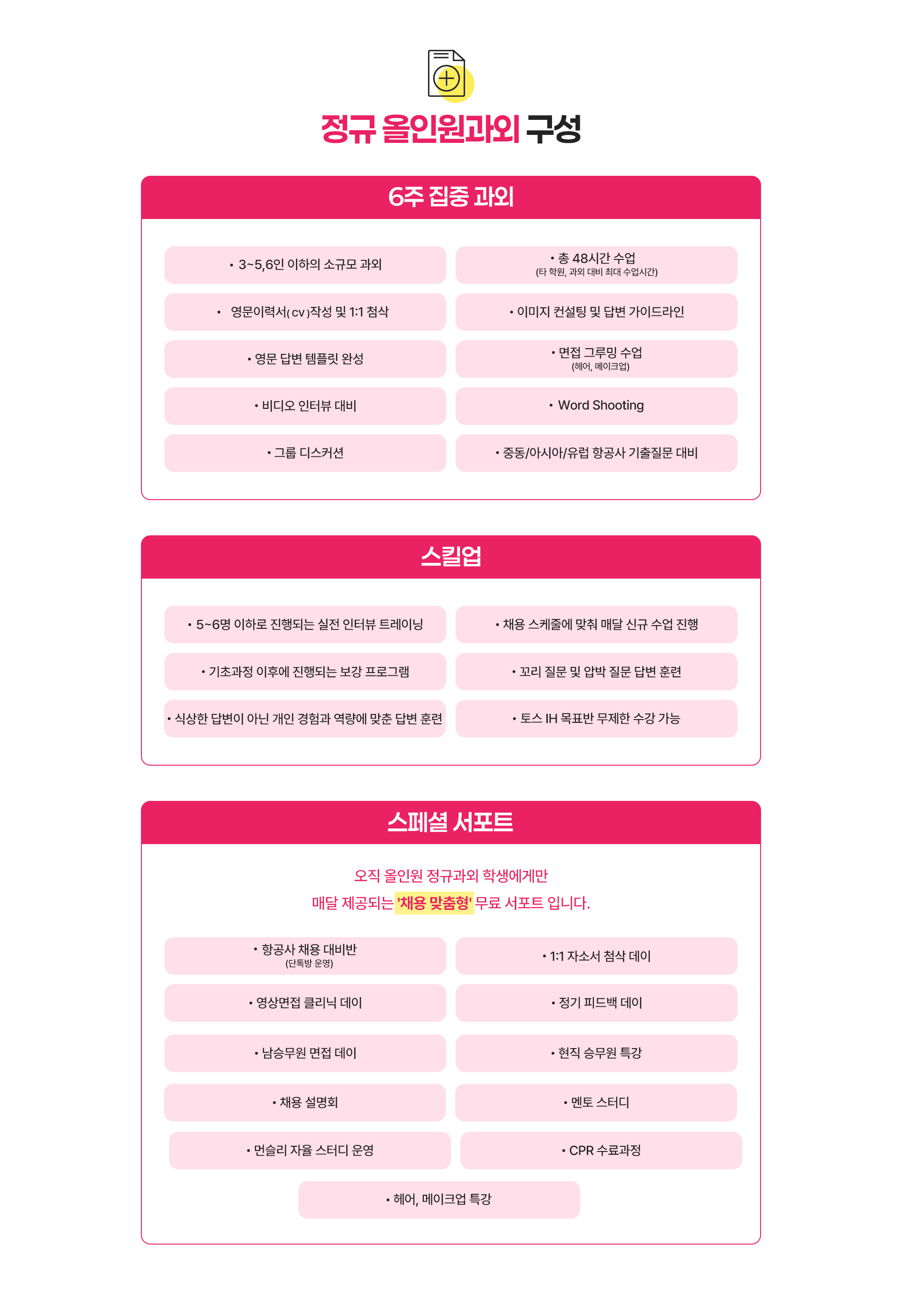 외국 항공사 정규 올인원 과외