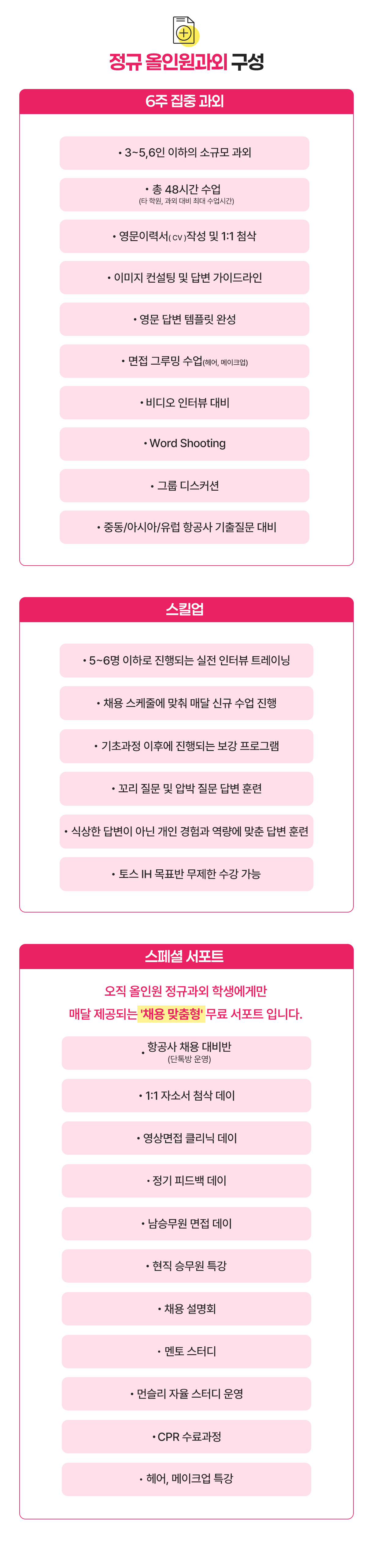 외국 항공사 정규 올인원 과외